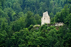 Ruines du Chateau d'Erguel 01 10