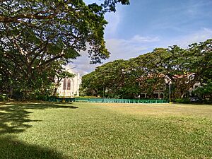SU Treeline West Quad Church