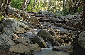 San-antonio-creek 45275401342 o