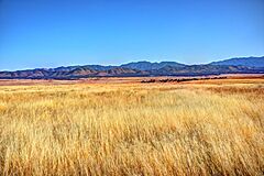 San Rafael Grasslands Arizona 2