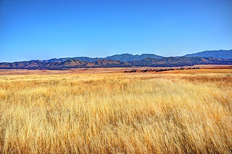San Rafael Grasslands Arizona 2