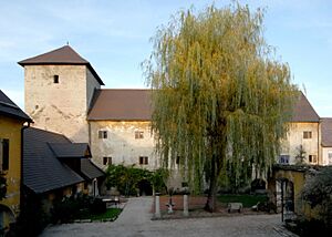 Sankt Veit an der Glan Burggasse 9 Herzogsburg SW-Ansicht 18102006 5028