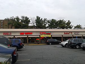 Shopping center in Annandale - 1