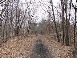 Southern New England Trunkline Trail at Central St, Millville MA.jpg