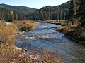St Joe River at Red Ives