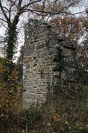 Staward Peel - geograph.org.uk - 1548739