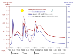 Suckale08 fig3 glucose insulin day