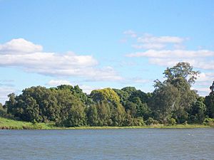 Susan Island Clarence River