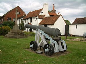 The Chobham Cannon - geograph.org.uk - 384726