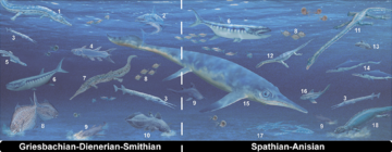 Triassic marine vertebrate apex predators