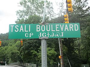 Tsali Boulevard sign, Cherokee, NC IMG 4880