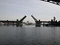 University Bridge-1