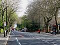 Upper Chorlton Road in the spring