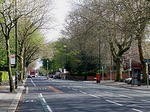 Upper Chorlton Road in the spring