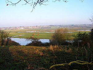 View Across Pulborough Brooks - geograph.org.uk - 297268
