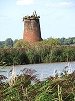 View across the River Yare towards Limpenhoe drainage mill - geograph.org.uk - 1445638.jpg