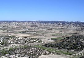 Vista de los Monegros (Leciñena).jpg