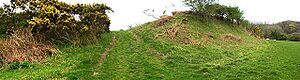 Walwyn's Castle - geograph.org.uk - 163489