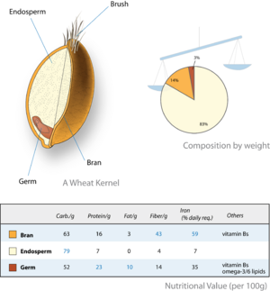 Wheat-kernel nutrition