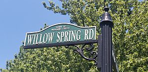 Willow Spring Road sign