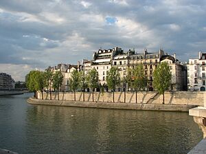 Île Saint-Louis - Quai d'Orléans (Paris)