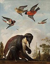 A Captive Diana Monkey on a Wall against a Landscape with Four Colorful Birds in the Sky 