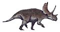 Agujaceratops life restoration