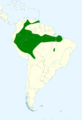 Ammodramus aurifrons map