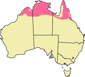 Antilopine wallaroo map