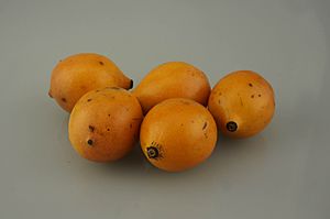 Australian grown Achacha fruits (Garcinia humilis).jpg