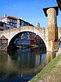 Balmaseda - Puente Viejo 03