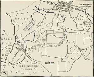 Battle of Iuka - History of Iowa.jpg
