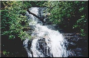 Becky Branch Falls.jpg