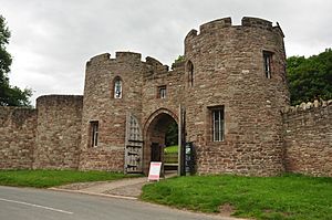 Beeston Castle (5292)