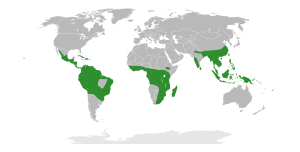 Begoniaceae Distribution Map.svg