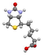 Biotin-view-1-from-xtal-Mercury-3D-balls.png