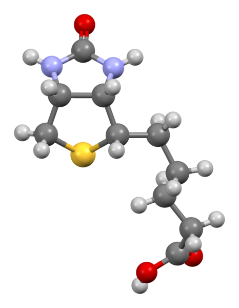 Biotin-view-1-from-xtal-Mercury-3D-balls