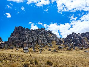 Bosque de Piedras (Huayllay). 3