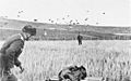 Bundesarchiv Bild 141-0864, Kreta, Landung von Fallschirmjägern