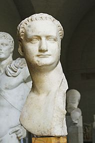 Bust of Domitian (loan from Capitoline Museums) - Glyptothek - Munich - Germany 2017 (2)