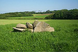 Carwynnen Quoit - geograph.org.uk - 2067679