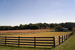 Chestnut Ridge Farm
