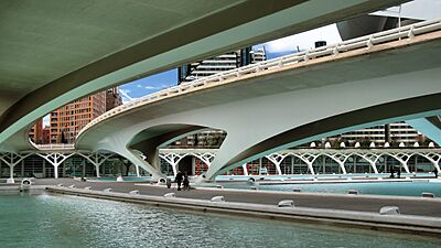 Ciudad de las Artes y las Ciencias - panoramio (11)