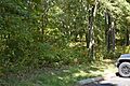 Compton Gap Site by parking area