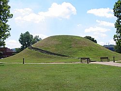 The Criel Mound in South Charleston.