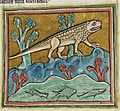 Crocodile - British Library Royal 12 F xiii f24r (detail)