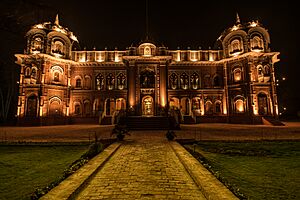 Darbar Mahal by Moiz