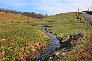 Davis Hollow looking upstream