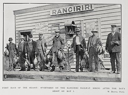 First Bags of the Season - Sportsmen at Rangiriri Railway Station after the Day's Shoot.jpg