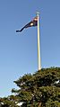 Flag, Riverton Forum, Parkwood, 15 February 2022